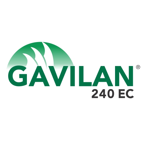 Gavilan_240EC